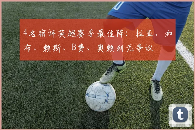 4名宿评英超赛季最佳阵：拉亚、加布、赖斯、B费、奥赖利无争议